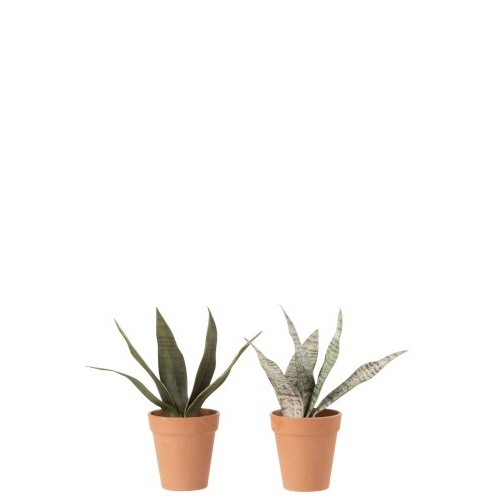 Faux Sansevieria in Pot Small