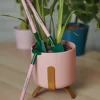 MINI HOUSEPLANT TOOLS