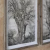 Brookby Set of 2 Old Tree Wall Art