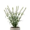 Faux White Lavender In Pot