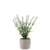 Faux White Lavender In Pot