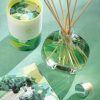 Mojito Scented Diffuser