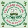 Kitchen Herb. Eco Mini Basil Grow Kit.