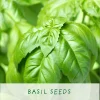 Kitchen Herb. Eco Mini Basil Grow Kit.