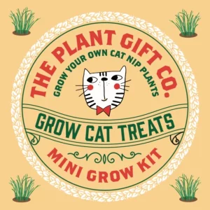 Grow Cat Treats Cat Lovers Eco Mini-Grow-Kit