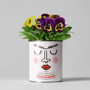 Frida's Flowers. Eco Grow Your Own Gardening Kit.