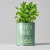 Herbal Tea Grow Your Own Kit