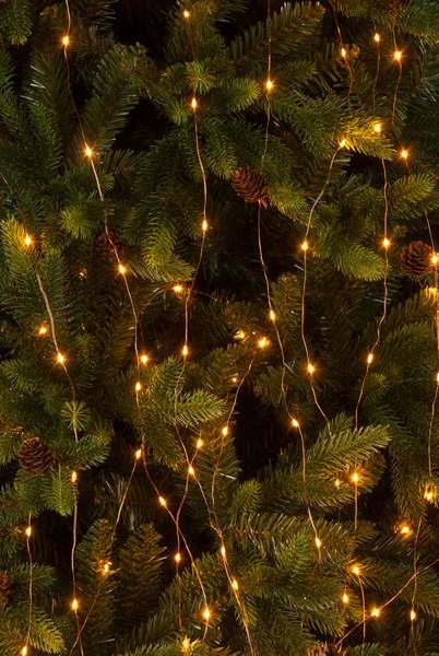 amber christmas lights