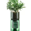 Tarragon Hydro Herb Kit