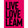 Framed Pink Live Love Leam Print
