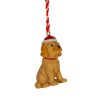 Resin Cockapoo Hanging Decoration Set Of 3